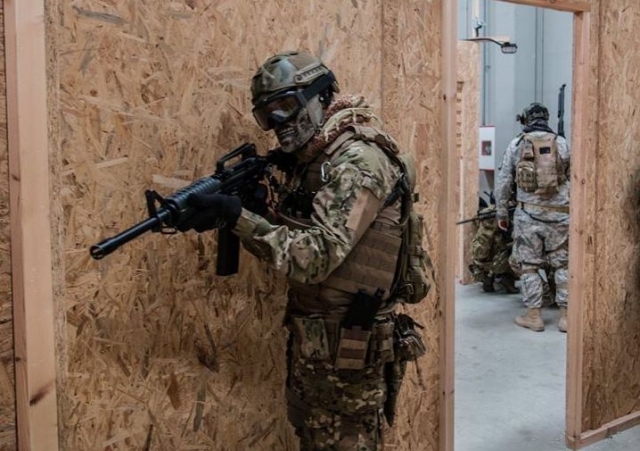 Vigilando la puerta.jpg